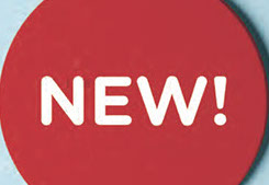 Flg-service-italia-immagine--schermata2024-07-04alle103942-crop-u57250